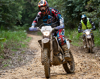 Coffs Detour home-page-photo
